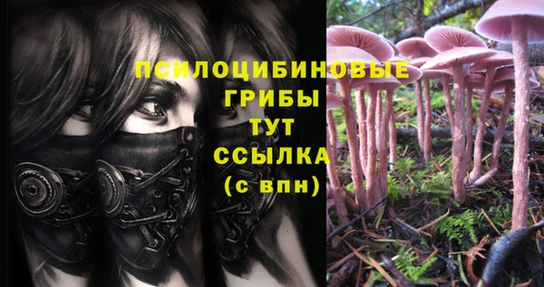твердый Заволжье