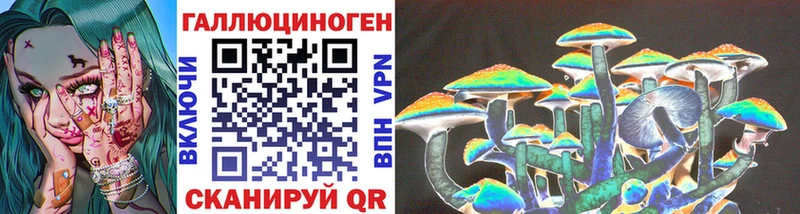 Купить где  Дальнегорск  Псилоцибиновые грибы MAGIC MUSHROOMS 
